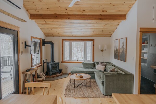 Smart TV, fireplace, books