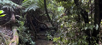 Log Cabin OFF GRID, fire place, balconies/library/ Rain forrest, walk, swim. 
