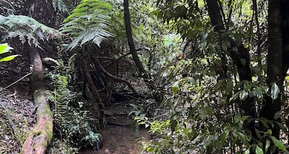 Log Cabin OFF GRID, fire place, balconies/library/ Rain forrest, walk, swim.