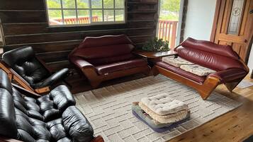 TV, fireplace, books