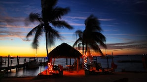 A beachside hut with a thatched roof, surrounded by palm trees and overlooking the ocean. - Bungalow w/ FREE Kayaks, Sailboat, Bicycle Use (Key Largo)
