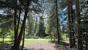 A forested area with a dirt path leading to a fenced area. - Back Country Getaway. Complete 30/50 RV Site. (Kingston)