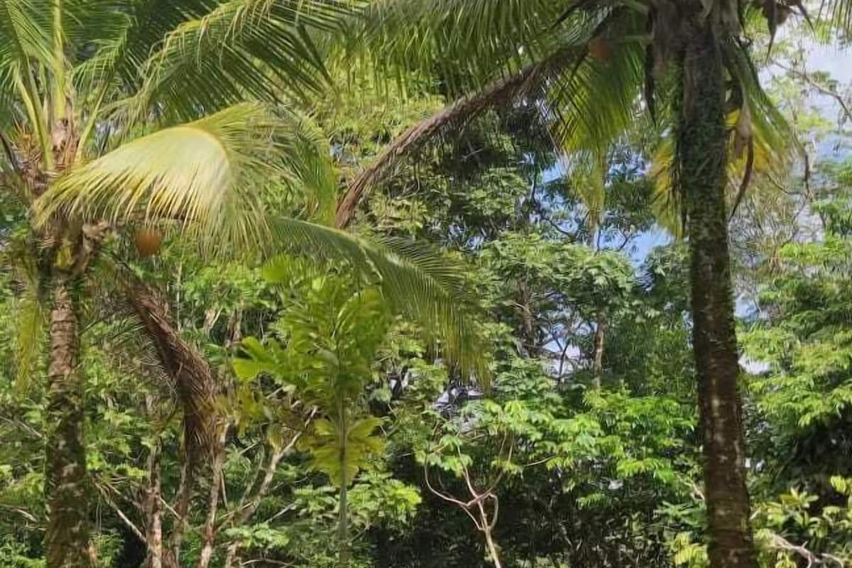 Bungalow Basic, kamar terhubung, pemandangan resor | 2 kamar tidur dan seprai linen