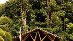 A wooden structure with a triangular roof, surrounded by lush greenery and a small water body. - ECOLODGE EL ALMEJAL (Bahia Solano)