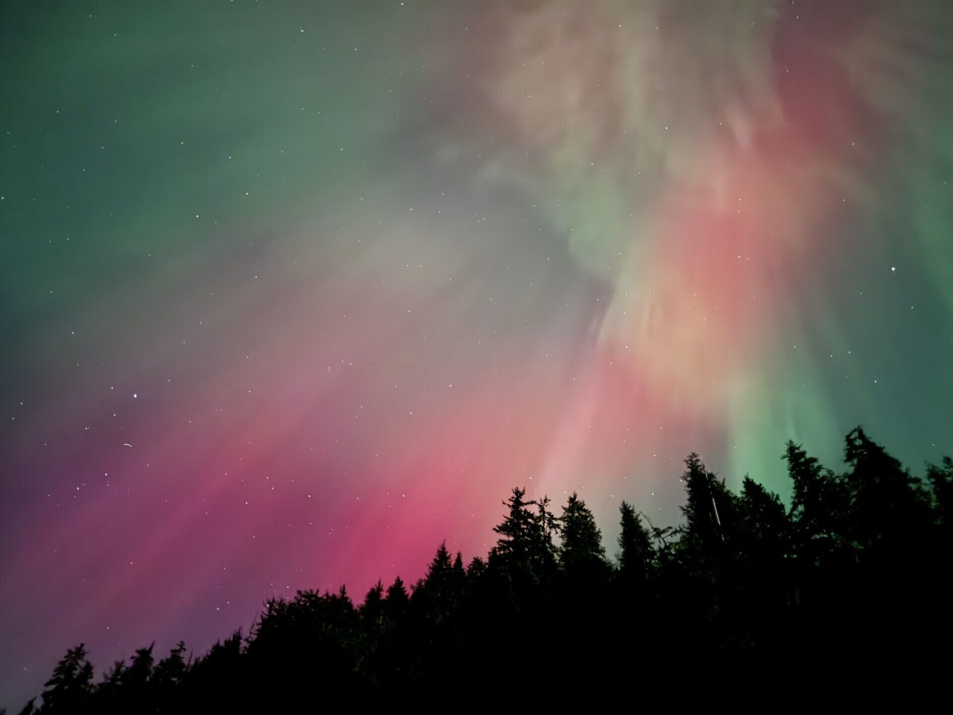 Céu noturno com a aurora boreal sobre uma floresta.