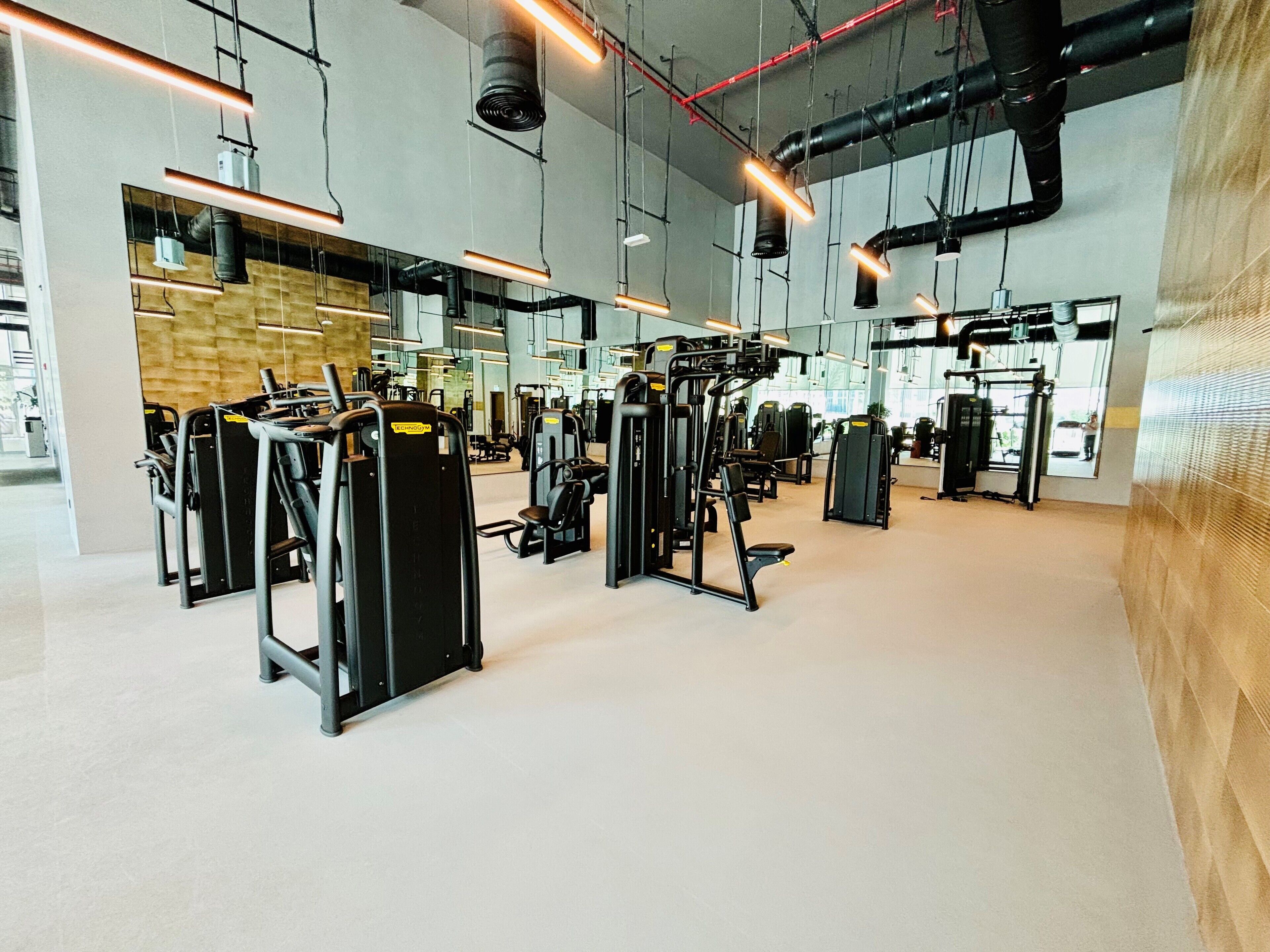 A modern gym with various exercise machines, large windows, and exposed ductwork.