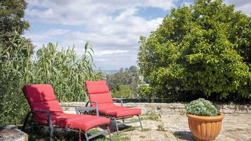 Two red lounge chairs on a brick patio with a potted plant and a view of a lush green tree and distant landscape.