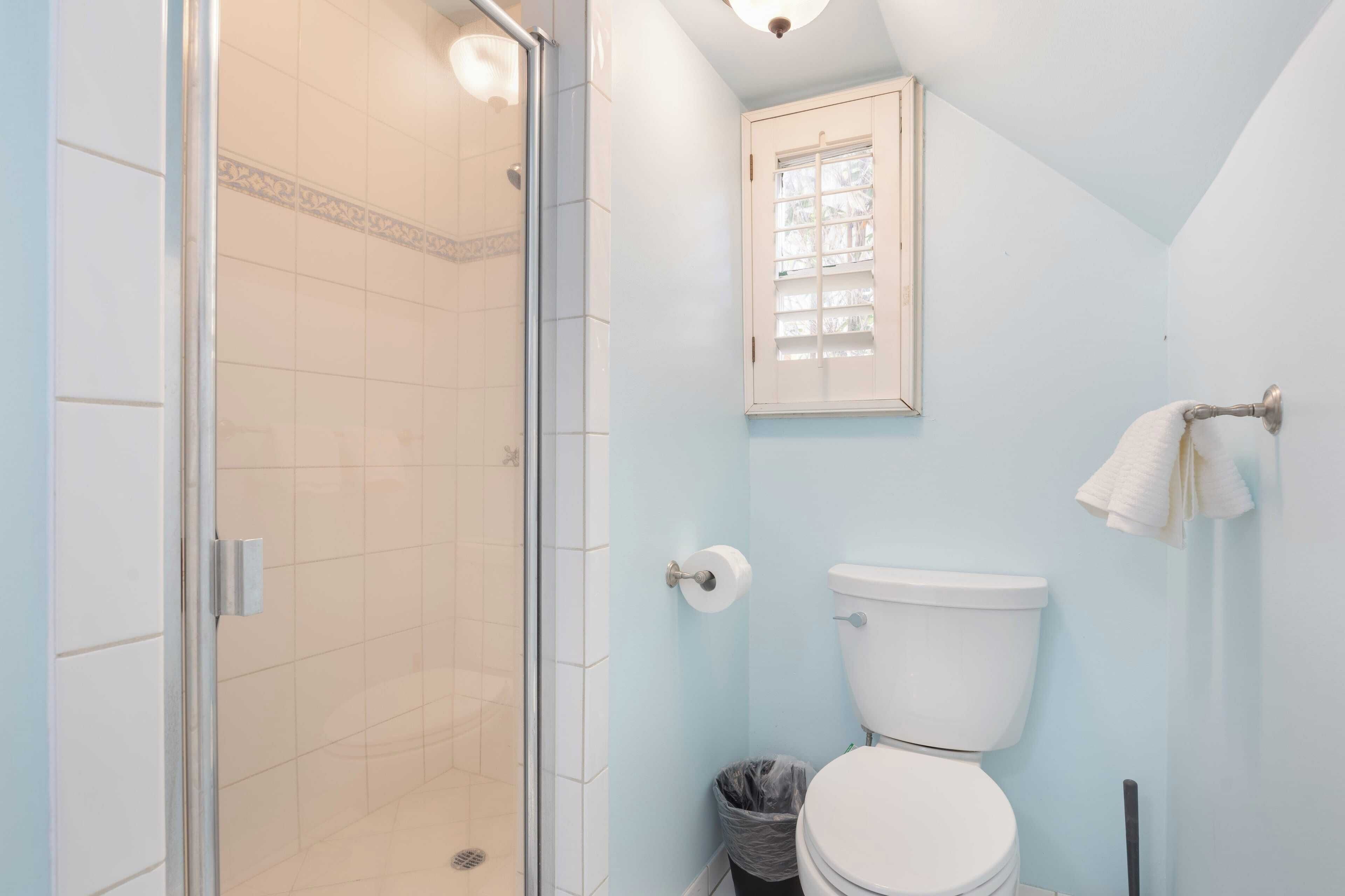 Une salle de bain avec une douche à parois de verre, des toilettes, une fenêtre et un porte-serviettes.