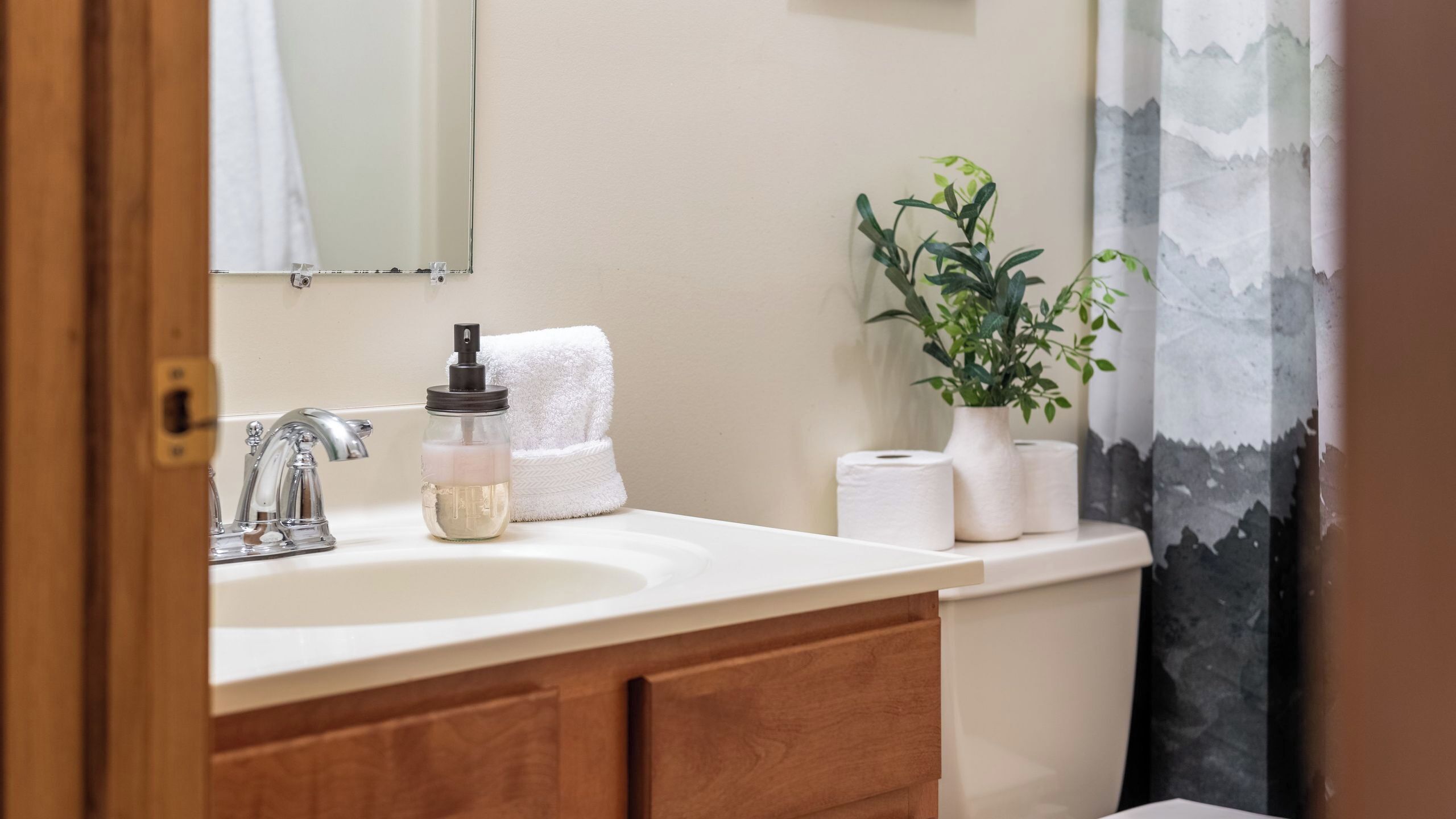 A bathroom with a sink, a mirror, a towel, a soap dispenser, a plant, and toilet paper.