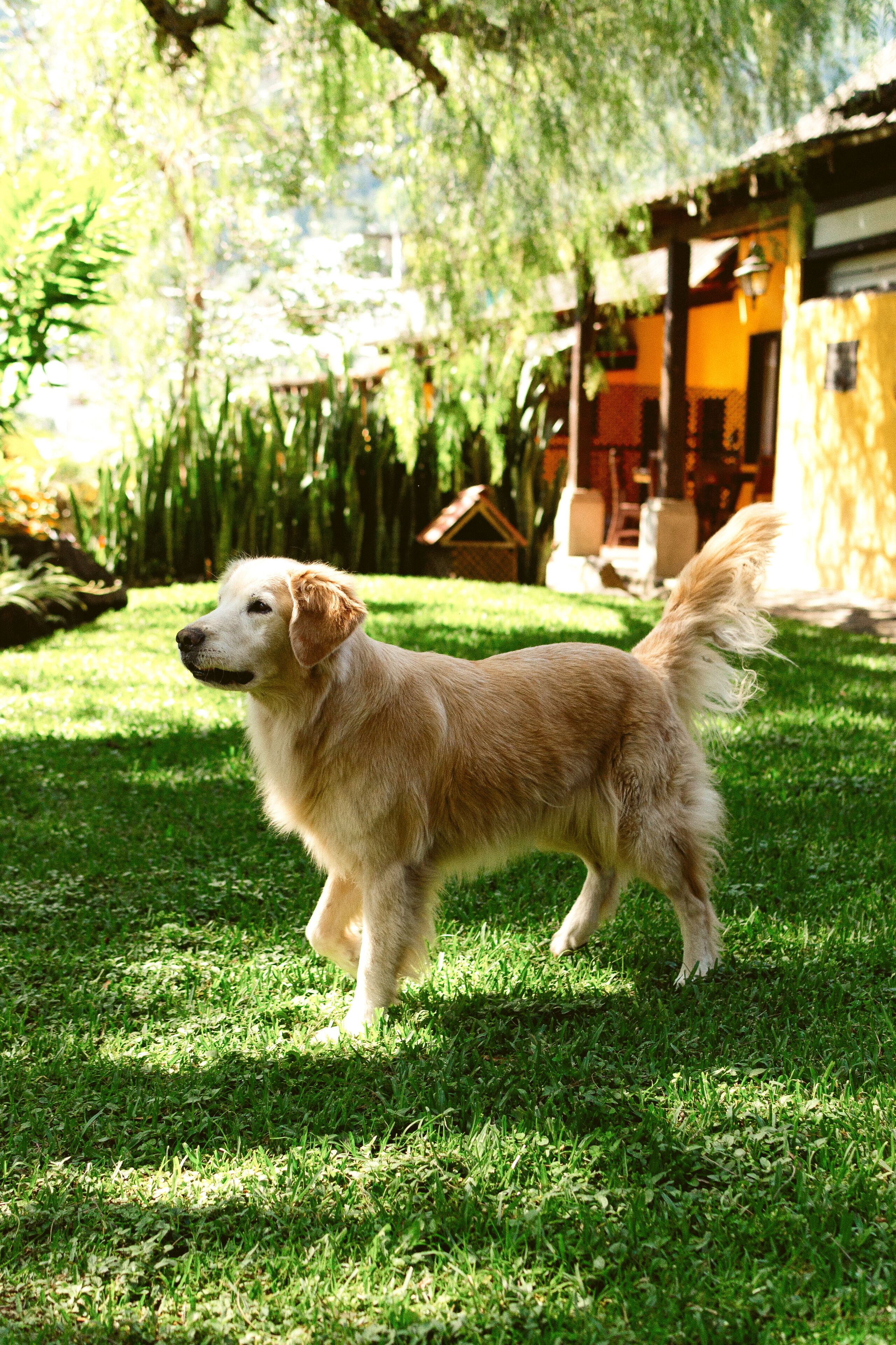 Habitación doble Confort | Vista al jardín