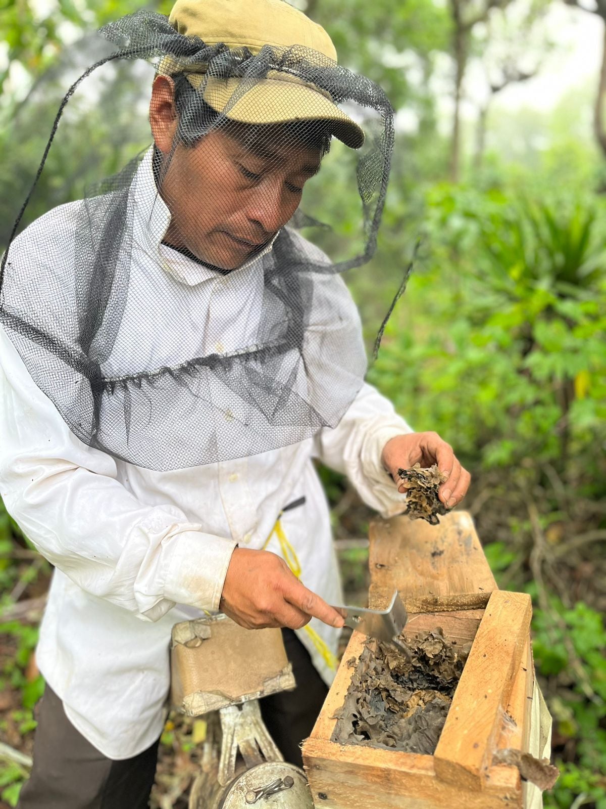 A person in protective clothing handling a beehive.
