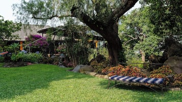 Vista giardino