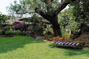 Vue sur le jardin