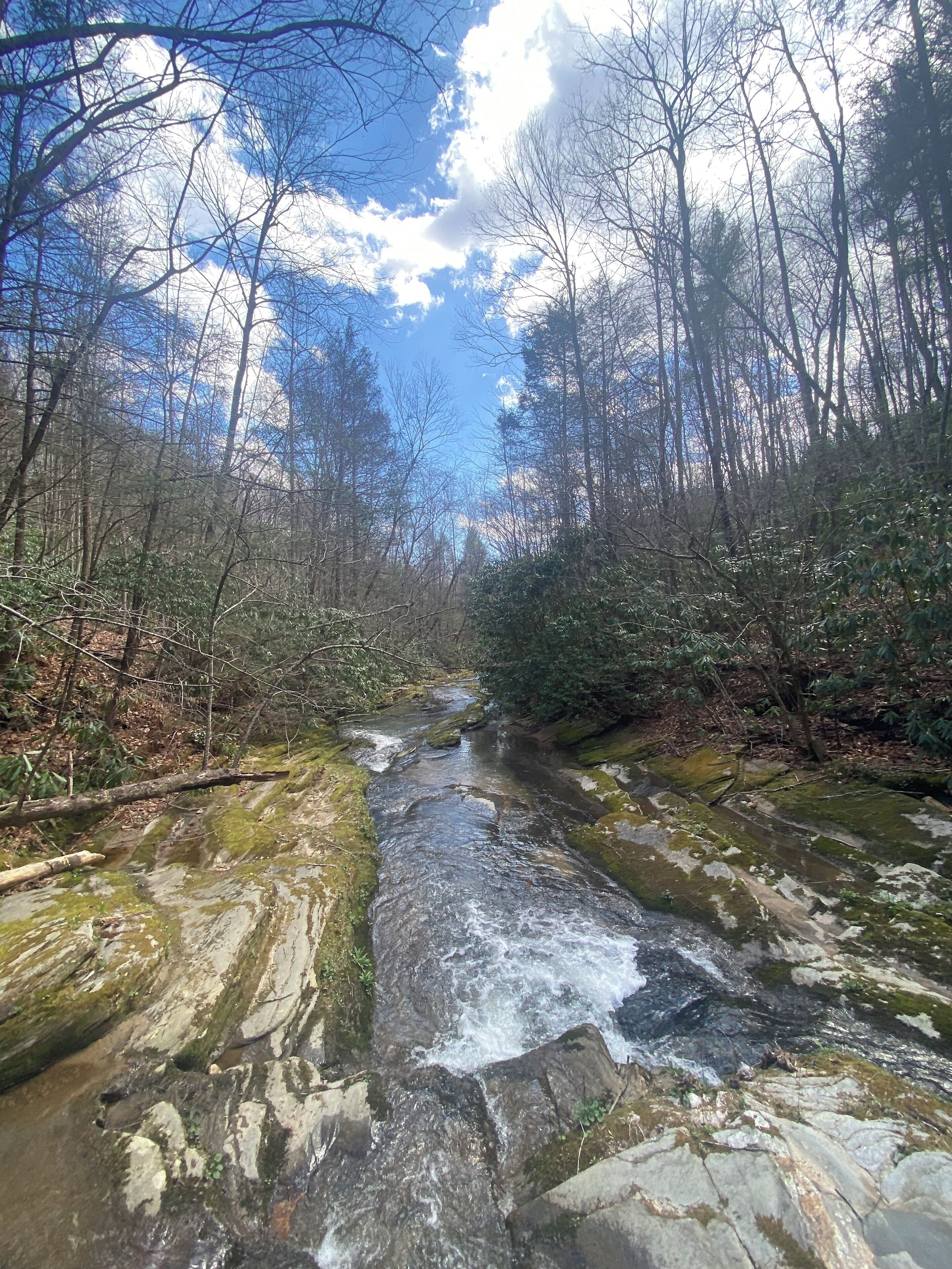 A river flowing through a forested area with rocky banks and trees.