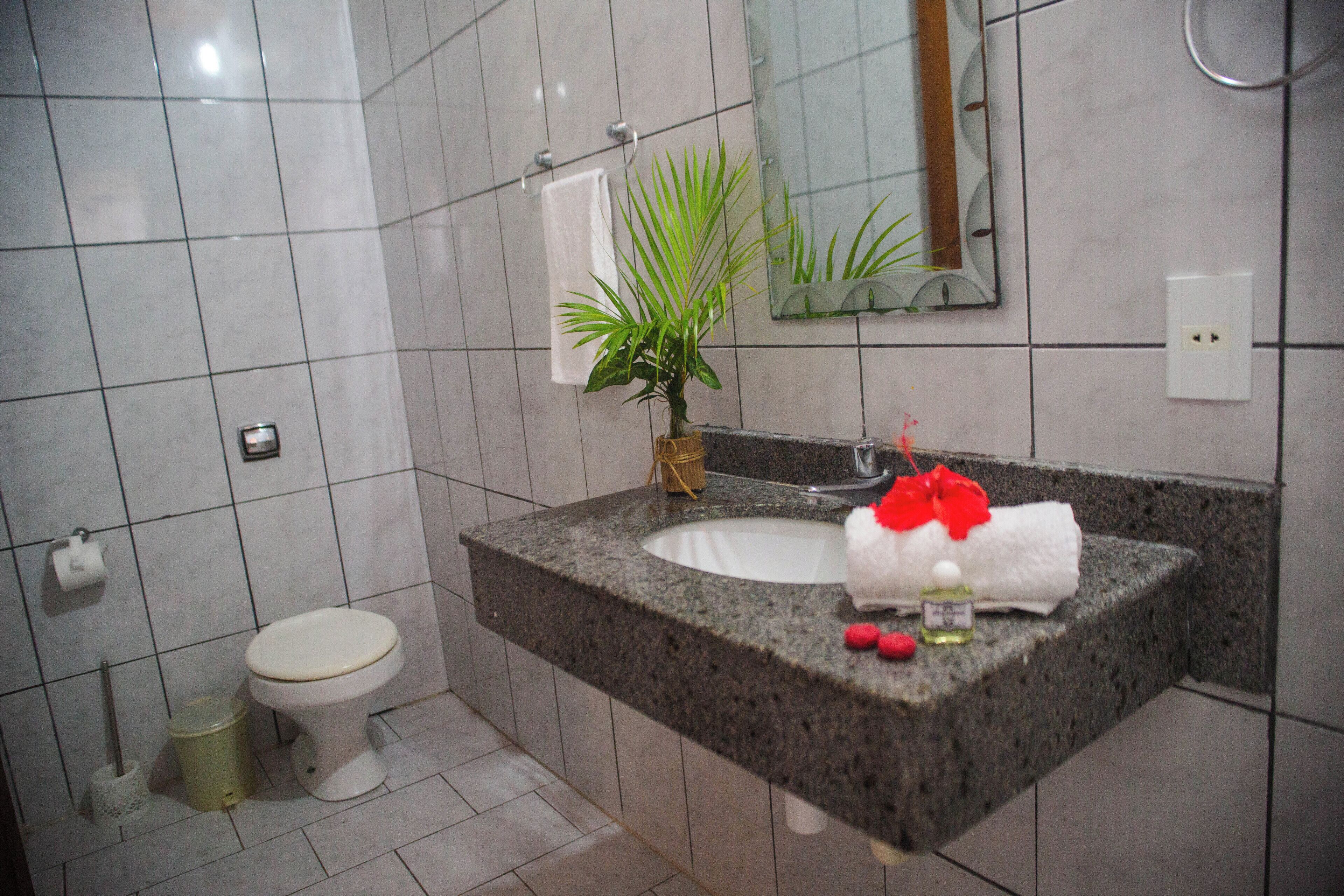 Een badkamer met een granieten wastafel, een wit toilet en een potplant.