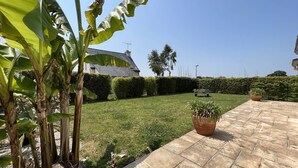 Un jardín bien cuidado con un patio empedrado, césped y una variedad de plantas, incluyendo árboles de plátano y una palmera en maceta.