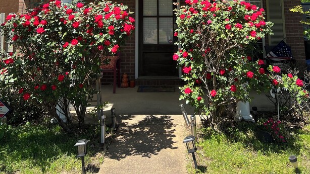 A two-story house with a front porch, a brick entrance, and a number 102 on the front. - Lovely home in good location just few minutes to OleMiss and downtown.  (Oxford)