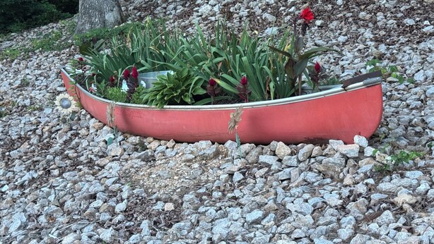 Una jardinera con forma de canoa roja llena de plantas y flores, sobre un lecho de grava.