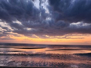 Beach - Seas the Day! Lovely 3-bedroom, 1.5 bath home close to the beach (Del Haven)