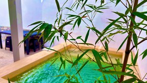 A pool surrounded by bamboo plants, with a clear blue water surface. - Oferta Excelente Casa En Residencial Privada, Alberca, Asador (Ciudad Valles)