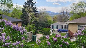 Un quartier résidentiel avec des maisons, une voiture bleue et des fleurs violettes.