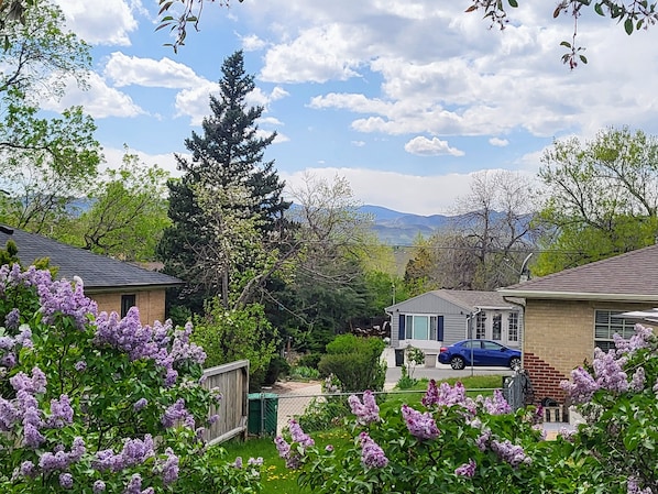 Un barrio residencial con casas, un coche azul y flores púrpuras.