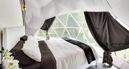 007 Geodome - Unique Escapes "007" Luxury Camping Geo-Dome!