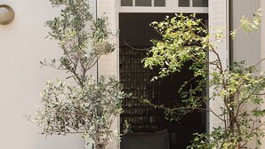 A balcony with a white balustrade, a potted olive tree, and a window with white shutters. - Hotel Casa Cuenca (Mexico City)
