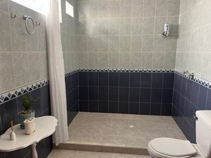 Ducha, secador de pelo, toallas, jabón