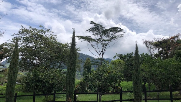 A paved pathway with a wooden fence and trees in the background. - El Pinar House: Tranquility, Family, and Nature (Jardín)
