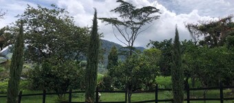 El Pinar House: Tranquility, Family, and Nature