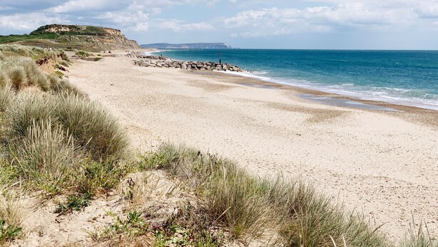 A beach with a rocky breakwater, grassy dunes, and a clear blue sky.
