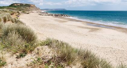Pineview Retreat - a three bedroom property on Shorefield Country Park, Milford on Sea