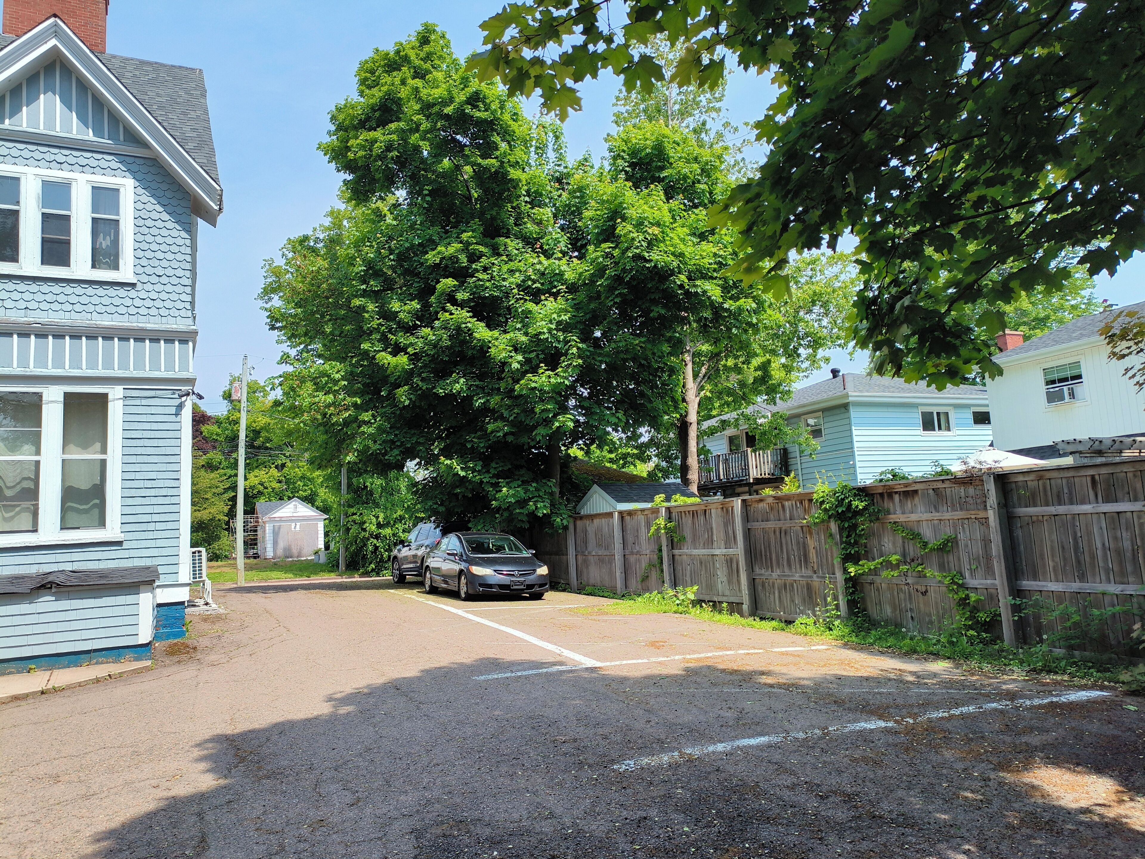 A residential street with houses, a parked car, and a large tree.