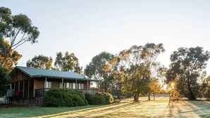A rustic wooden cabin with a metal roof, surrounded by a grassy area and trees. - Cosy cabin in the Grampians with mountain views (Wartook)