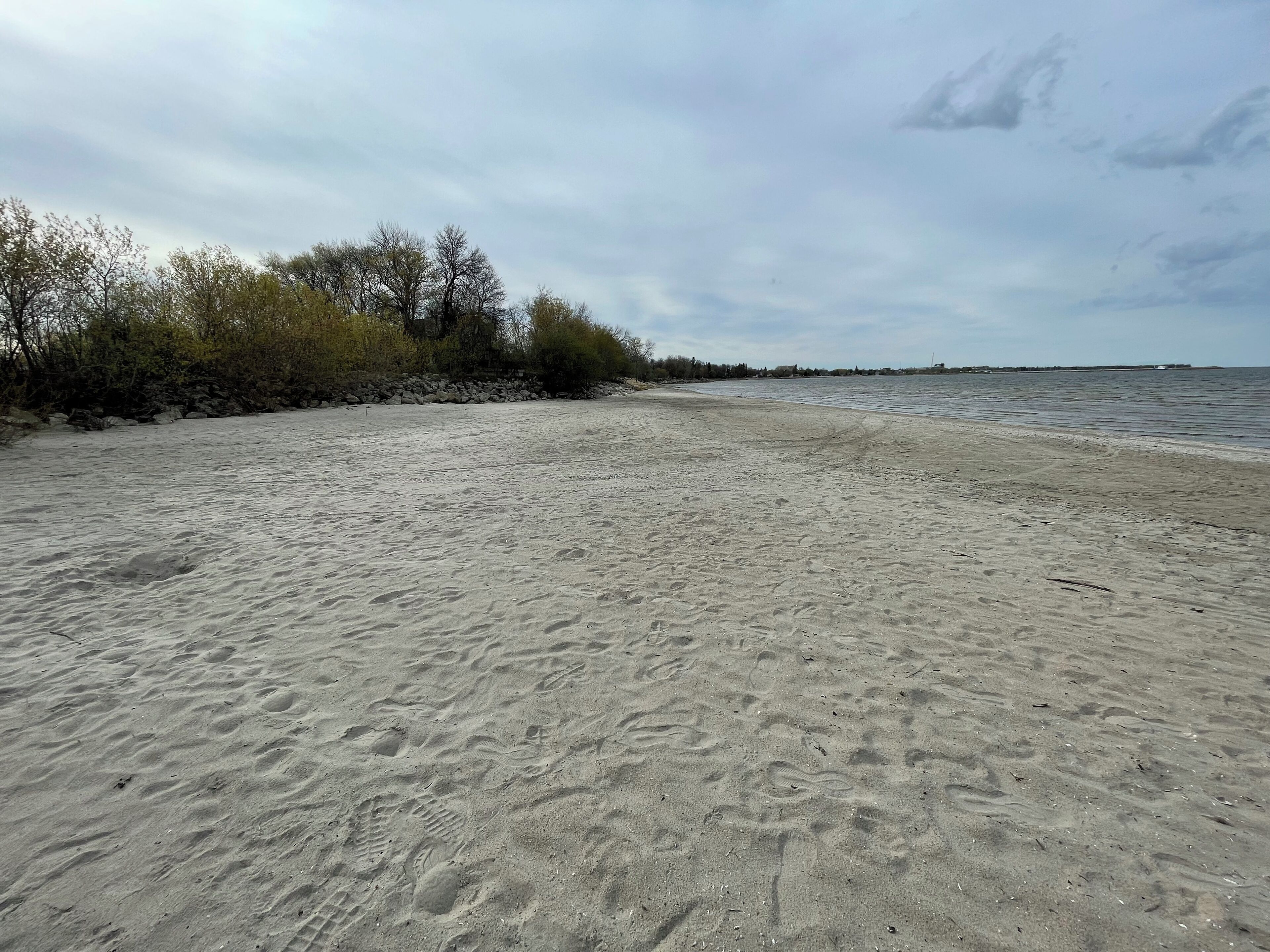 A sandy beach with footprints and sparse vegetation.