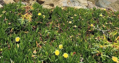 Casa Del Sol Malibu
monthly luxurious condo rental in the heart of Malibu.