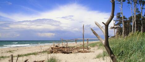 Beach nearby