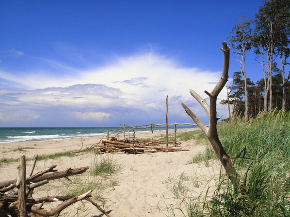 Beach nearby - Apartment 'Fewo 14 - Halbinsel Darss - Ostsee' with Private Terrace, Shared Garden and Wi-Fi (Wieck am Darß)