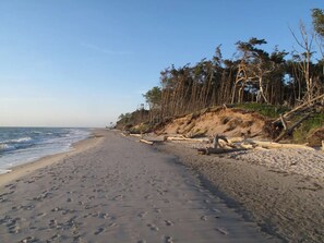 Tæt på stranden