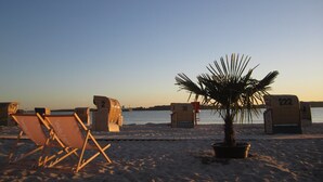 A beach with lounge chairs, a palm tree, and numbered beach umbrellas. - Apartment 'Penthouse Laboe' with Sea View, Private Terrace and Wi-Fi (Laboe)