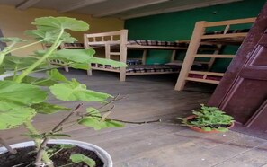 Property grounds - ¡ a 5 Minutos del Centro!, Hostel Económico Para que Disfrutes de la Ciudad (Cajamarca)