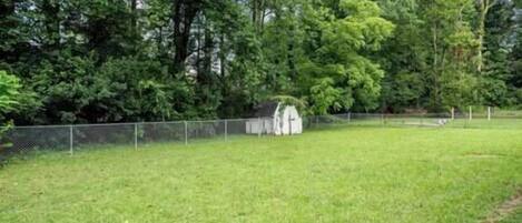 Enceinte de l’hébergement