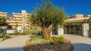 A landscaped area with a central tree, stone border, and a paved walkway.