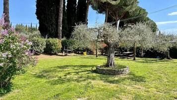 Parco della struttura