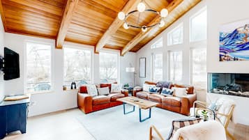 TV, fireplace, video games, DVD player