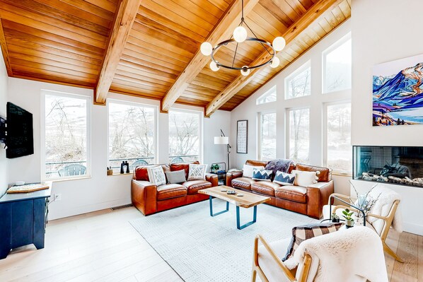 テレビ、暖炉、テレビゲーム、DVD プレーヤー