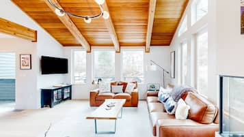 TV, fireplace, video games, DVD player