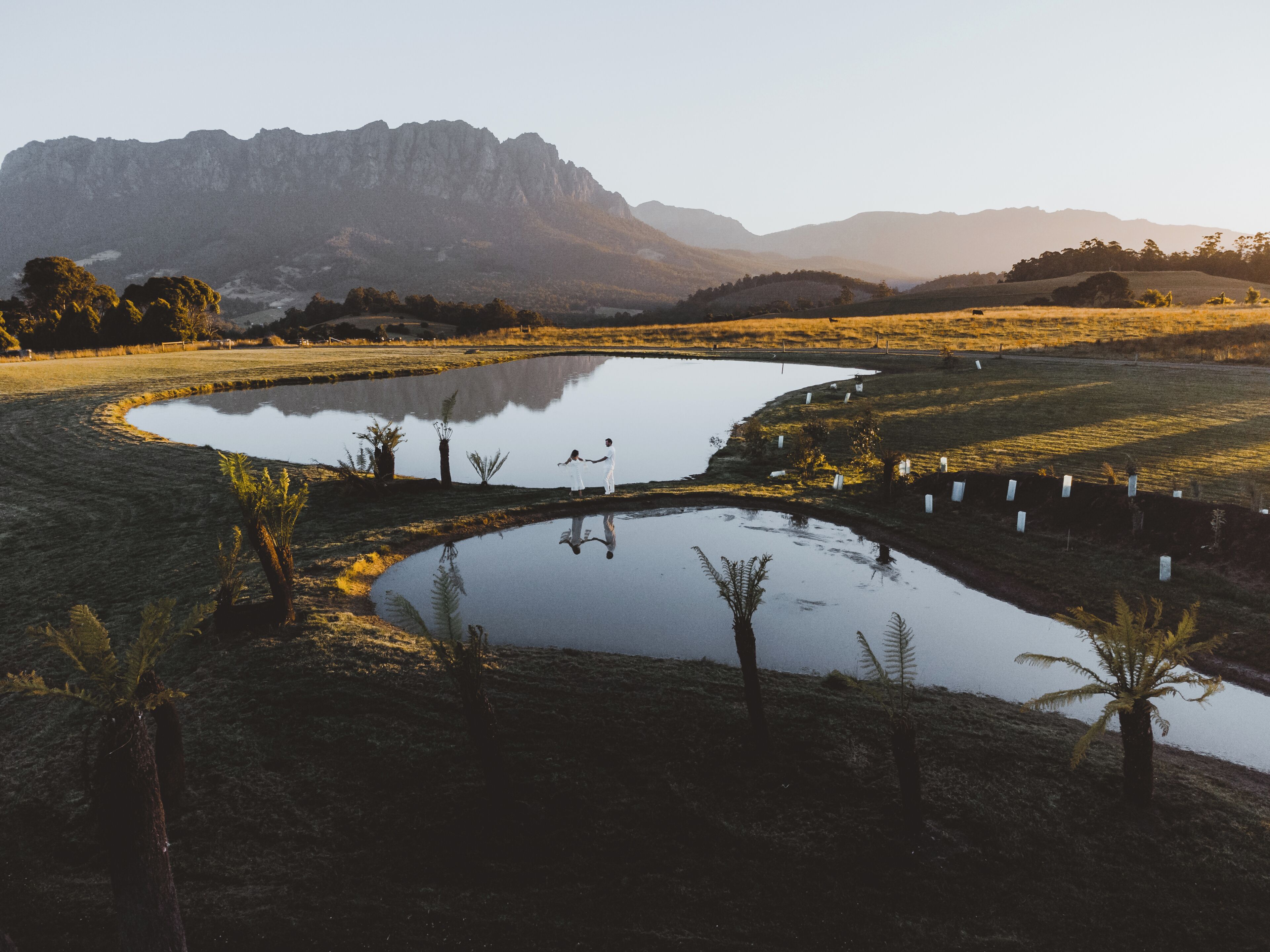 A serene landscape with a pond, palm trees, and distant mountains.