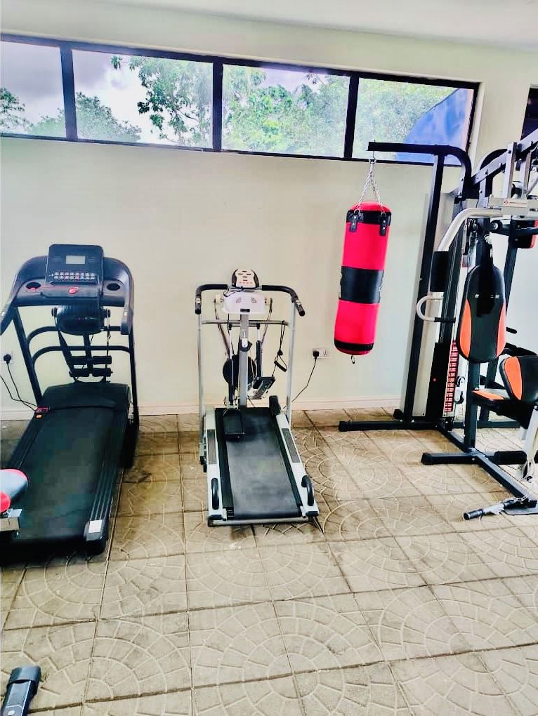 A gym with a treadmill, a stationary bike, and a punching bag.